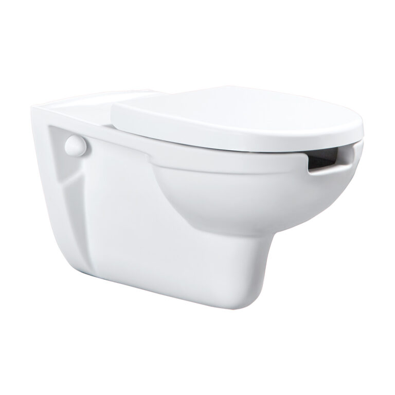 Bedensel Engelli Banyo Takımları Asma Klozet